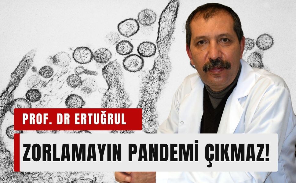 Zorlamayın! Hantavirüs'ten pandemi çıkmaz!
