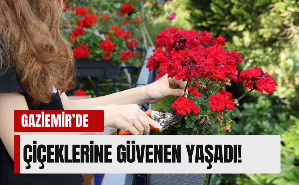 Çiçeklerine güvenen yaşadı! Gaziemir Belediyesi ödül dağıtıyor!