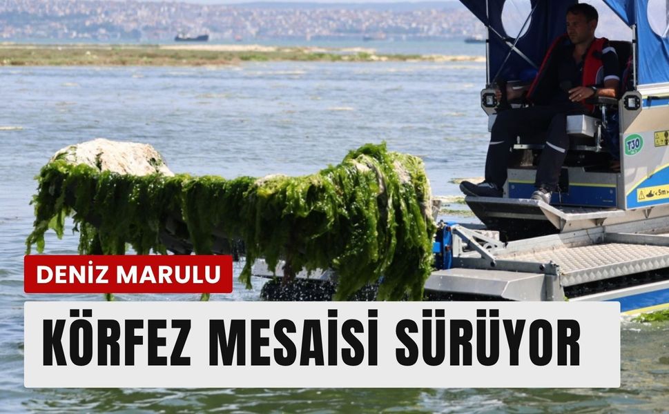 İzmir Büyükşehir’den Körfez’de temizlik mesaisi