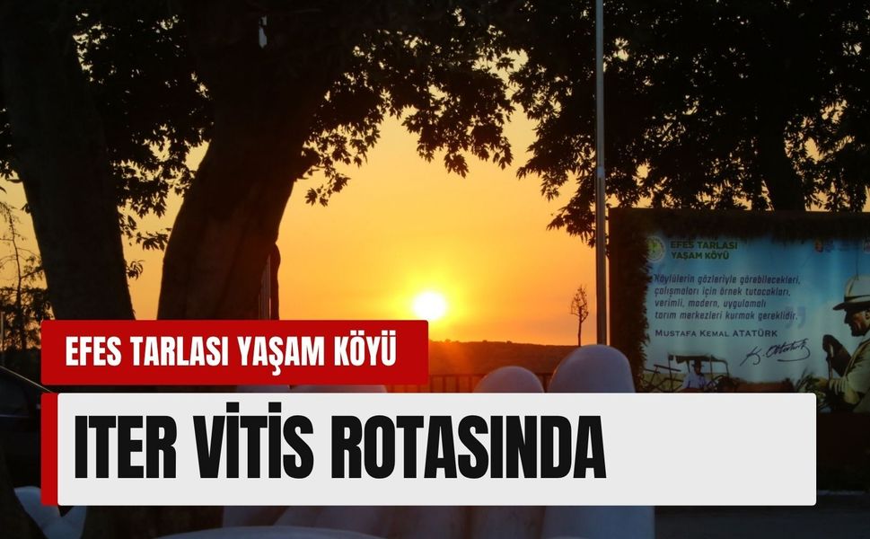 Avrupa Konseyi’nden İzmir’e büyük jest! Efes Tarlası artık o listede!