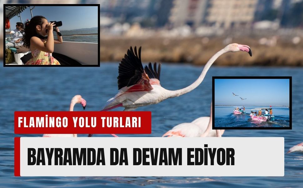 Bu bayram körfez çok renkli: Bayram seferleri hazır!