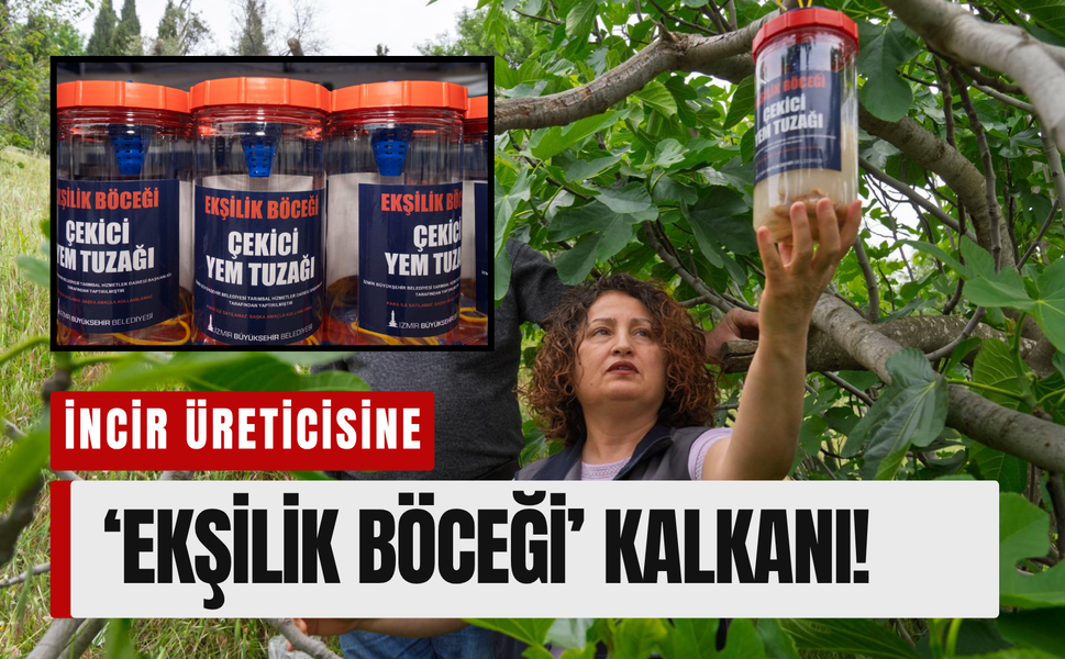 Büyükşehir’den incir üreticisine ‘Ekşilik Böceği’ kalkanı!
