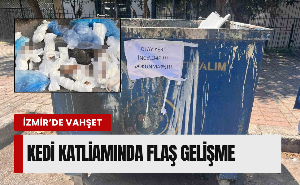 İzmir'de 33 ölü kediyi çöpe atan veteriner hakkında tutuklama talebi!