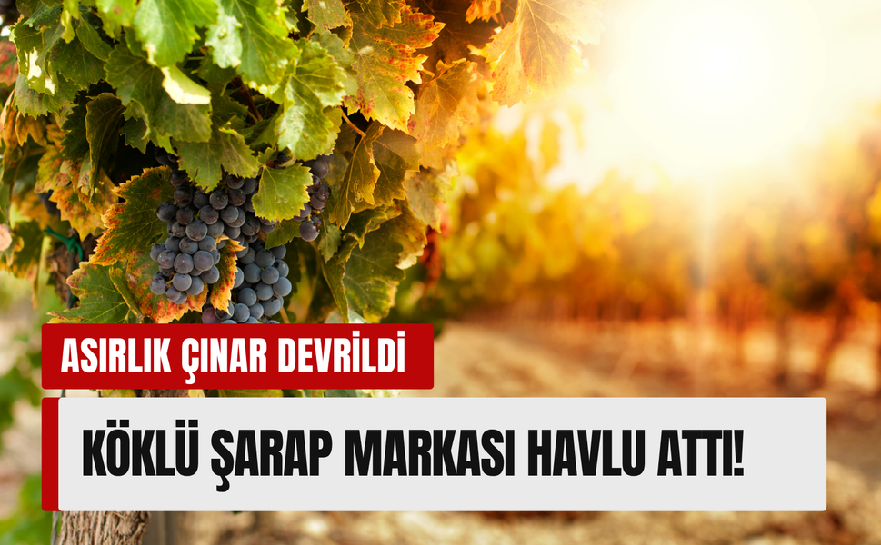 Asırlık şarap devinin kapısına kilit vuruldu, bağlar satışa çıktı!