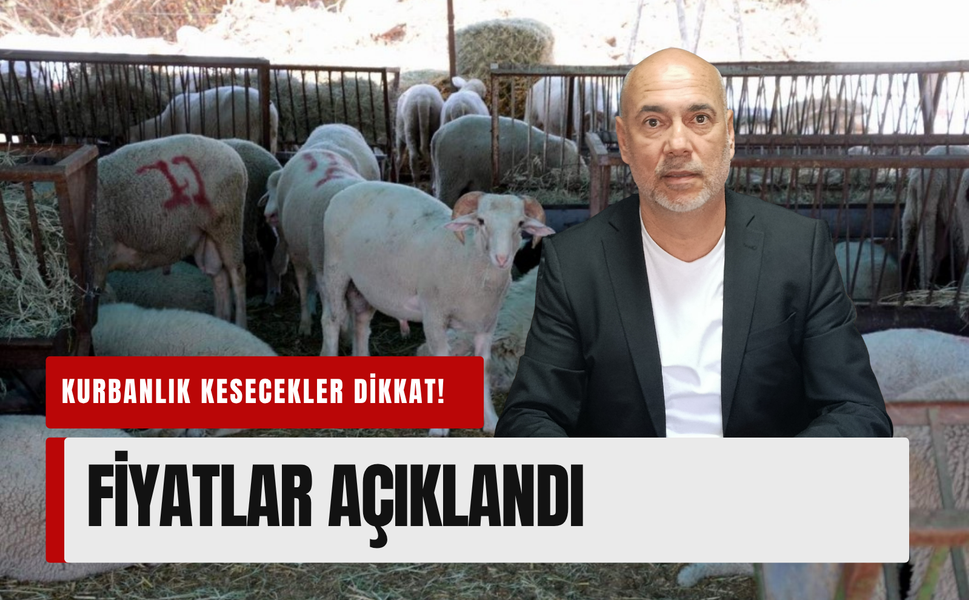 Aliağa’da kurbanlık kesim fiyatları duyuruldu