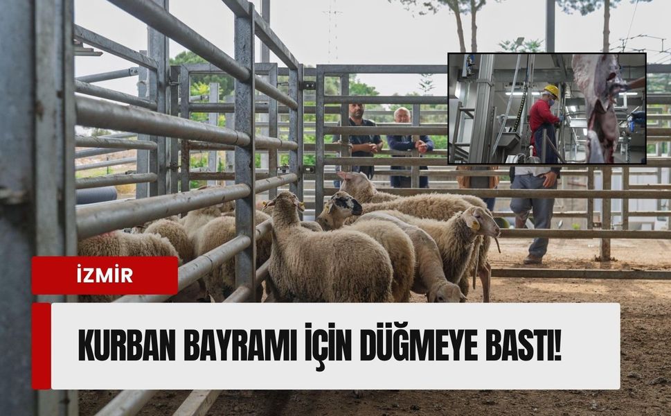 İzmir dokuz ilçede Kurban Bayramı’na hazır