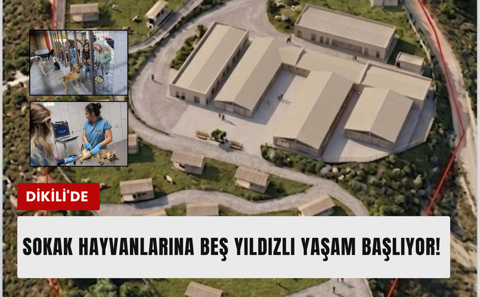 Dikili’de patili dostlara 24 bin metrekarelik yeni yuva!