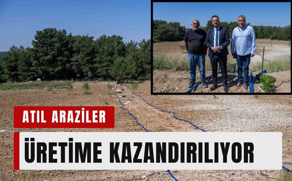 Bornova’da atıl araziler üretime kazandırılıyor