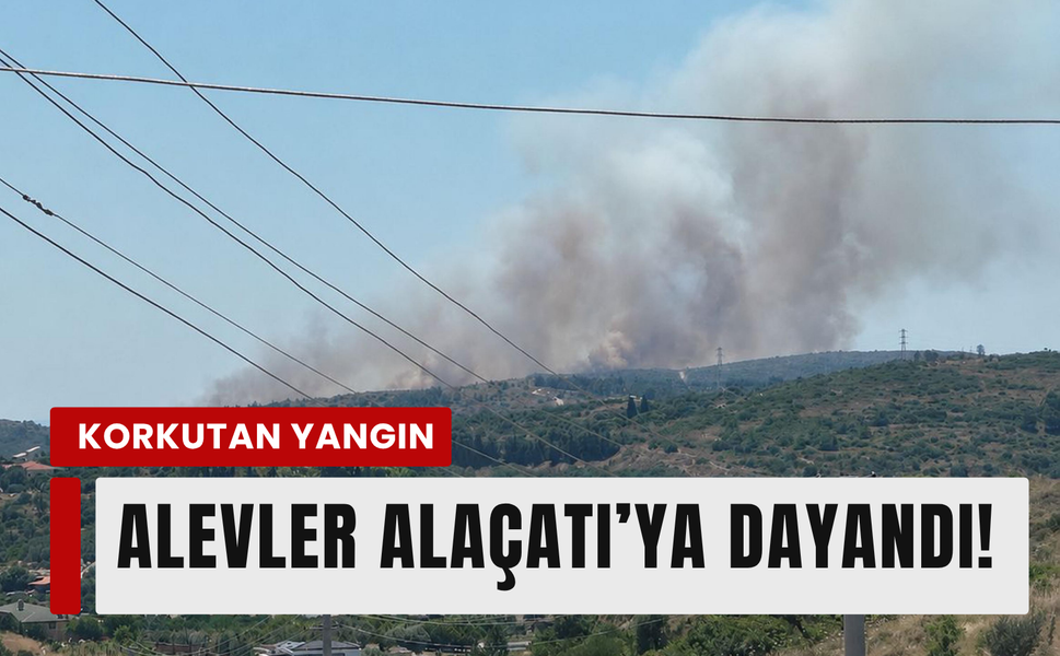 Çeşme'de kabus: Makilik alanda yangın!