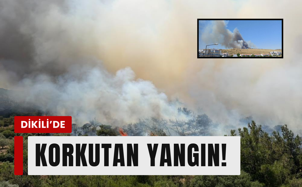 Dikili'de tarım arazisinde çıkan yangına yoğun müdahale!