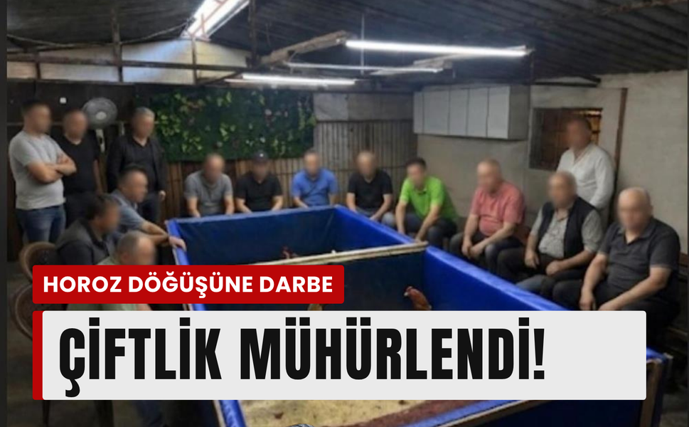 Aliağa’da horoz dövüşüne polis baskını!