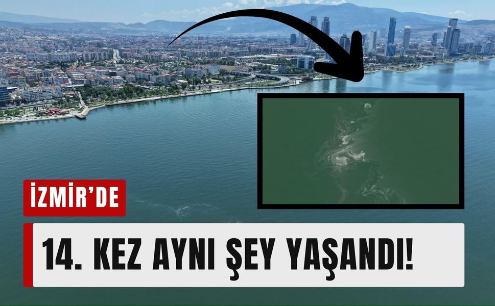 İzmir Körfezi’nde neler oluyor? 14. kez aynı şey yaşandı!