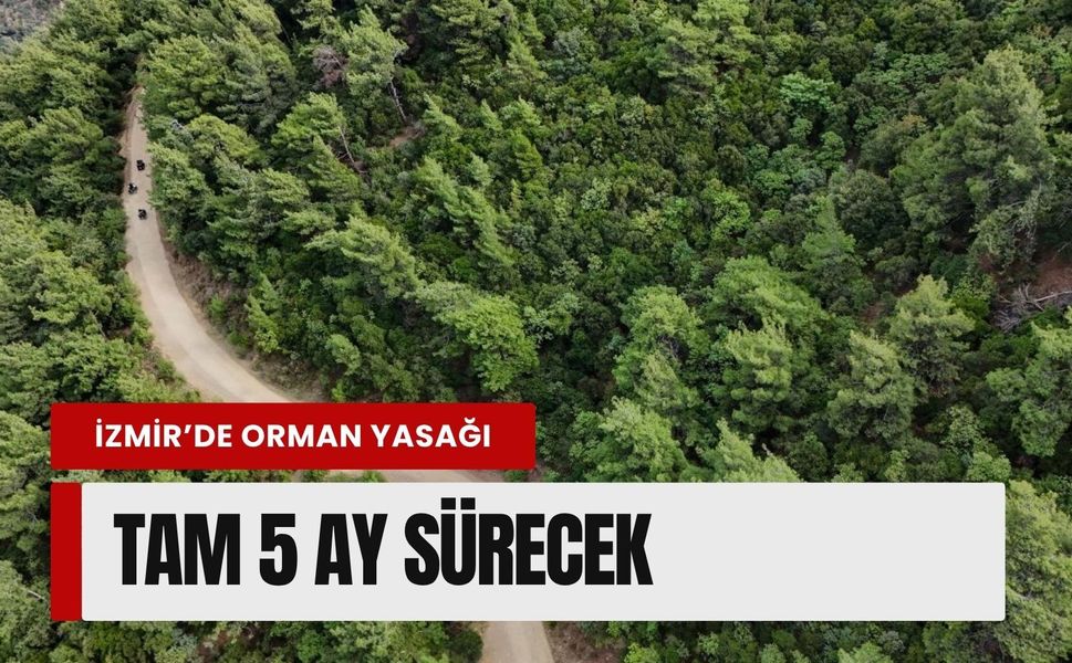 İzmir'de ormanlara giriş yasağı! tam 5 ay sürecek