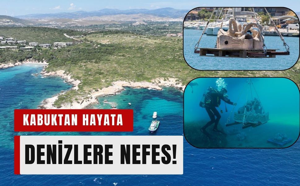 Midye kabukları yaşama nefes olacak