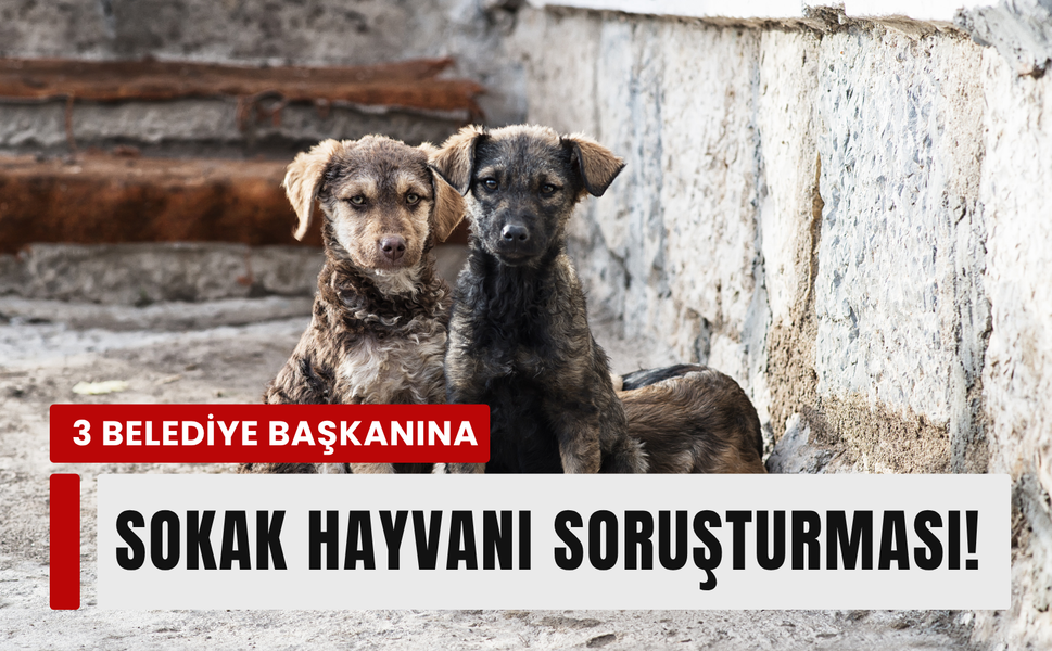 3 belediye başkanına soruşturma izni!