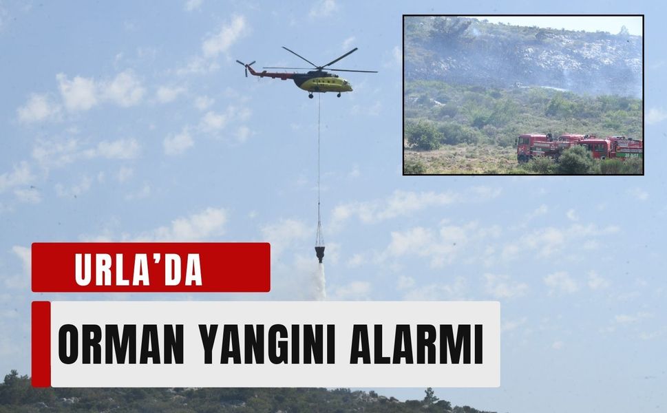 Urla’da orman yangını alarmı: Ekipler seferber oldu