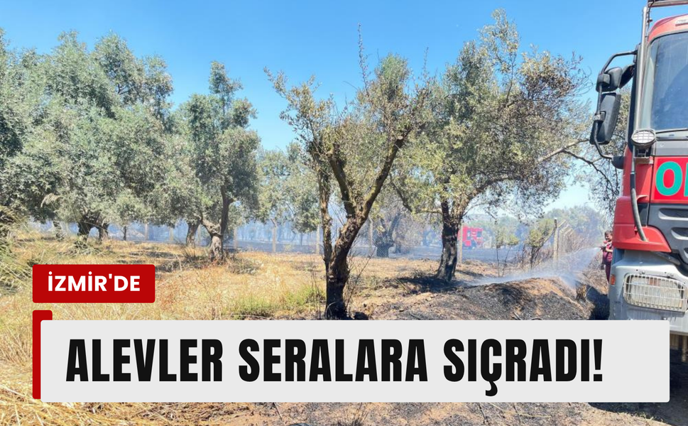İzmir'de korkutan yangun: Alevler seralara sıçradı!