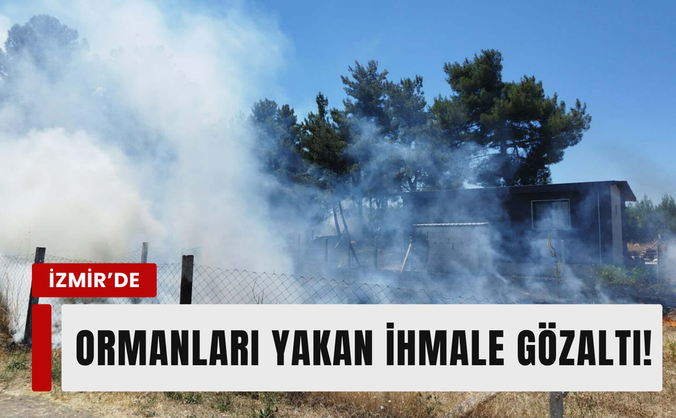 İzmir'deki iki orman yangınının çıkış nedeni belli oldu: 2 şüpheliye işlem!