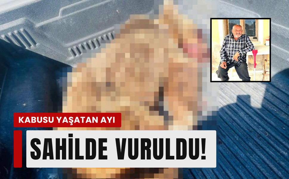 Seferihisar'da can alan ayı sahilde vuruldu!