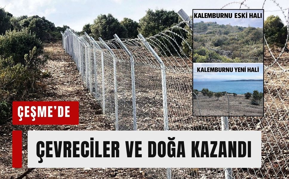 Çeşme’de çevreciler ve doğa kazandı: Kalemburnu’ndaki hukuksuz tahribat durduruldu!