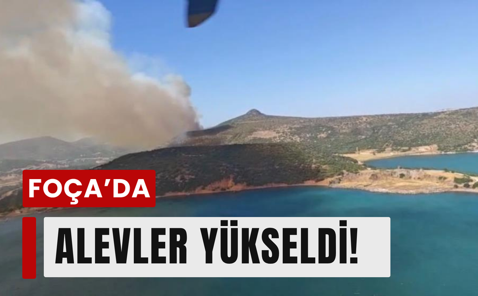Foça'da korkutan yangın: Rüzgar alevleri büyüttü!