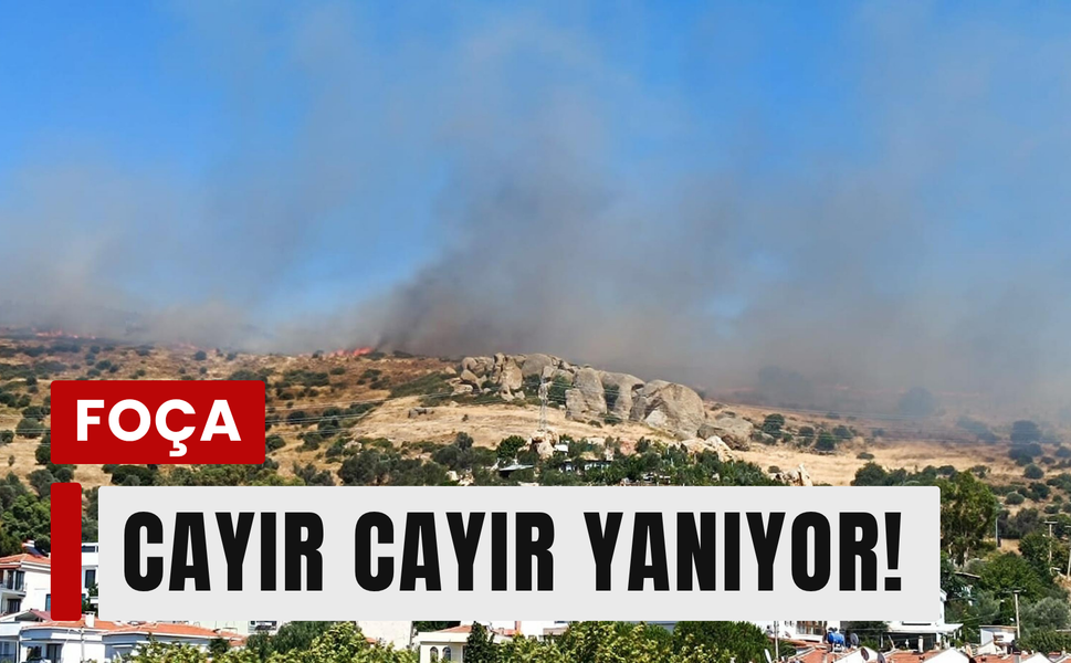 Foça'da korkutan yangın: Alevler mahalleye dayandı!