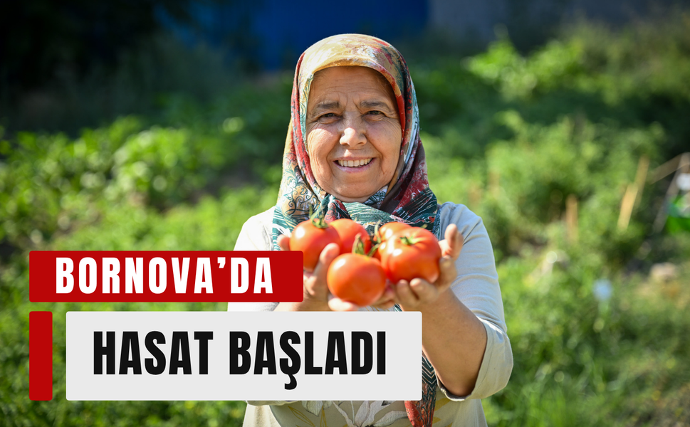 Bornova’da kent bostanlarında ilk hasat başladı