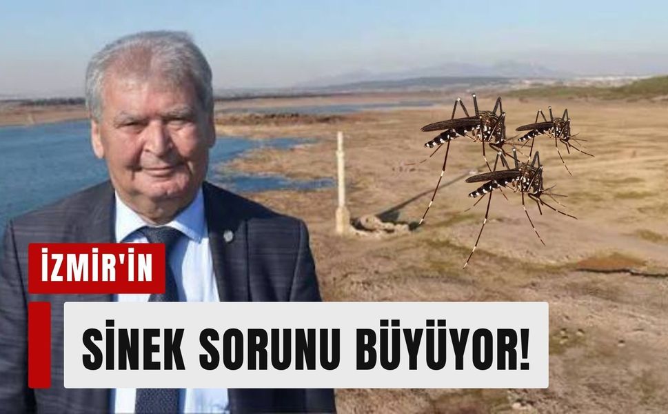 İzmir'in sinek sorunu büyüyor! Doğan Yaşar'dan kritik uyarılar