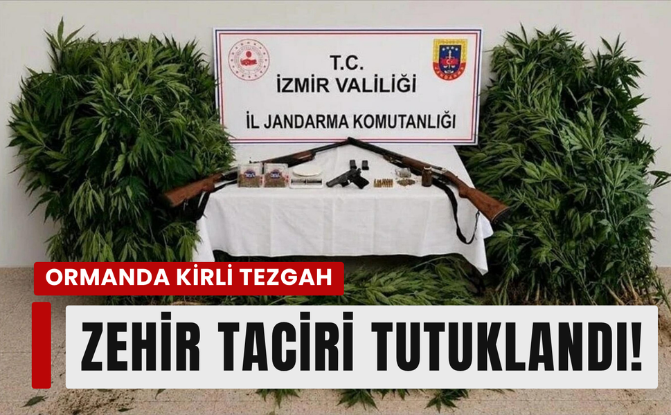 Ağaç arasında kirli tezgah: Zehir taciri tutuklandı!