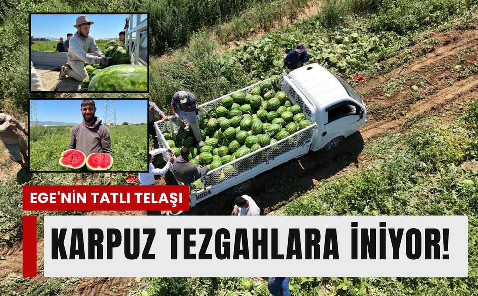Torbalı karpuzu tezgahlarda!