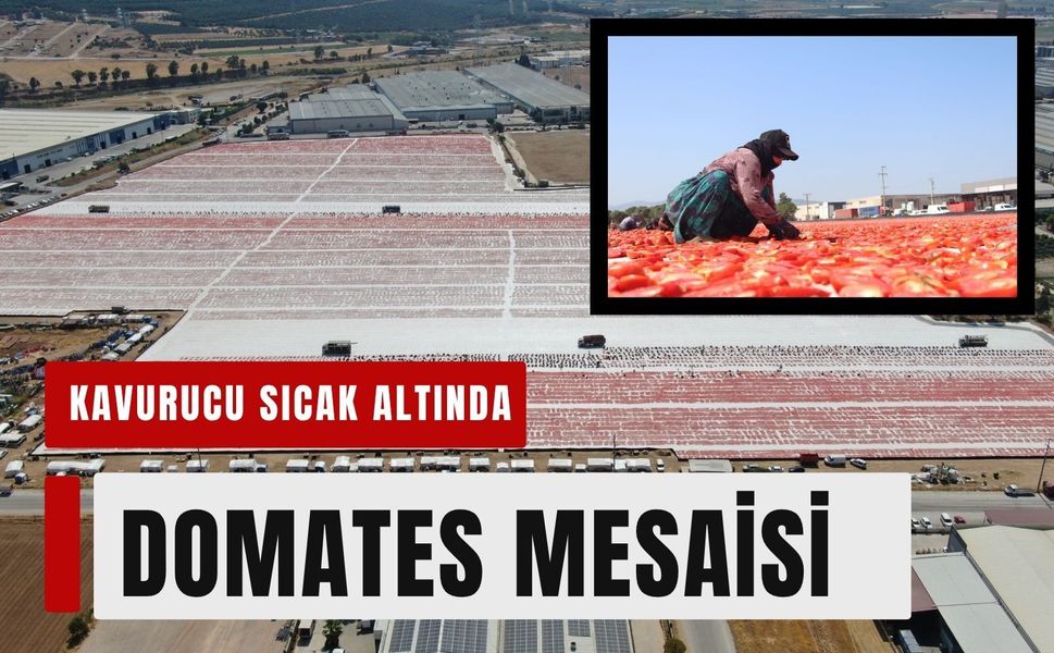 Torbalı Ovası kırmızıya büründü!