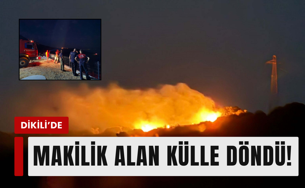Dikili'deki makilik alanda yangın!