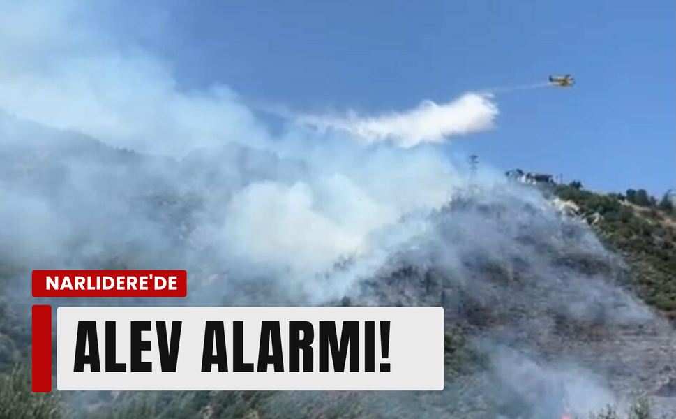 İzmir Narlıdere'de yangın!