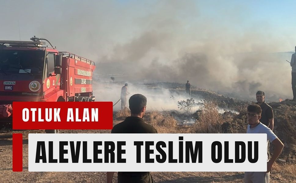 İzmir Aliağa'da otluk alanda yangın paniği