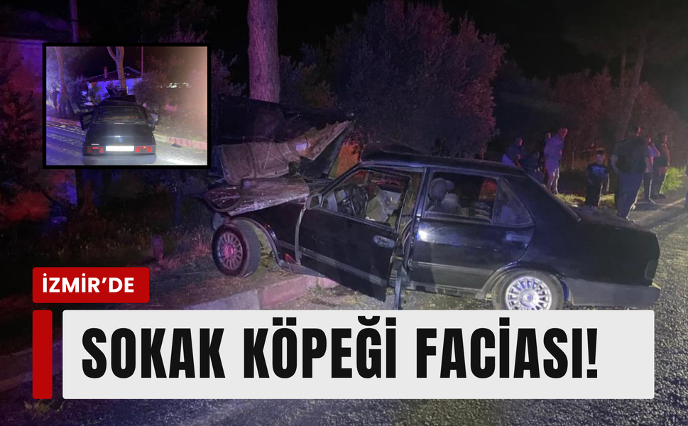 İzmir’de sokak köpeği faciası: 1’i ağır 2 kişi yaralandı!