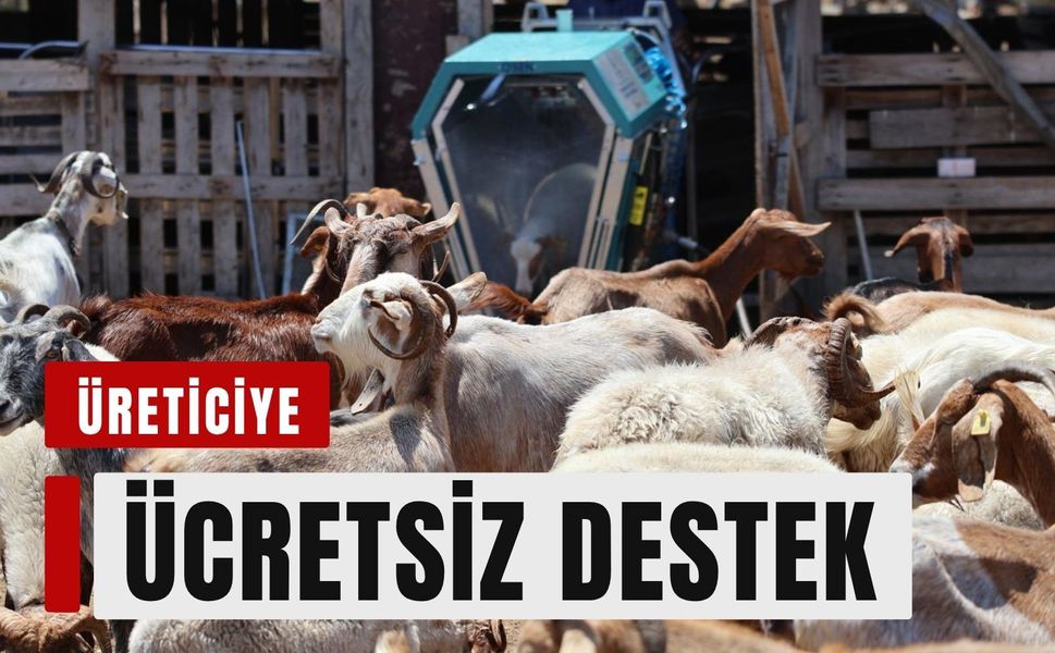 İzmir'de küçükbaş üreticisine teknoloji desteği