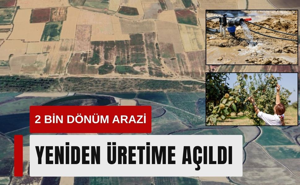 Selçuk’ta 2 bin dönüm arazi yeniden üretime açıldı