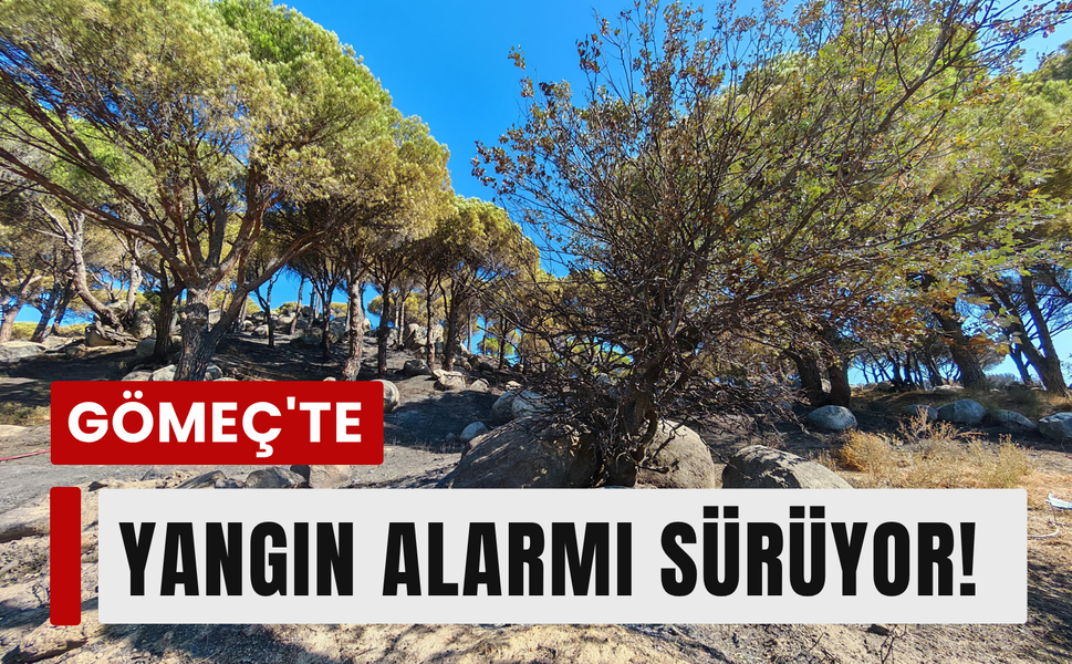 Gömeç'ten Bergama'ya uzanan yangın sürüyor!
