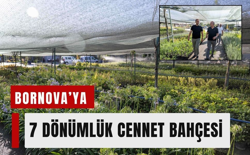 Bornova’ya 7 dönümlük lavanta parkı geliyor