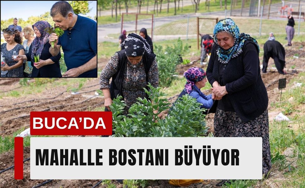 Buca’da Mahalle Bostanı büyüyor: Kozağaç için kayıt başladı