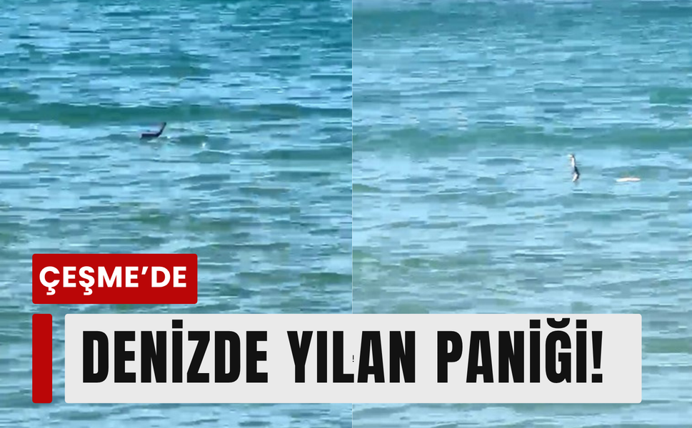Çeşme’de suyun içinden yılan çıktı!