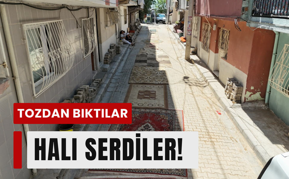 Tozdan bıktılar, halı serdiler!