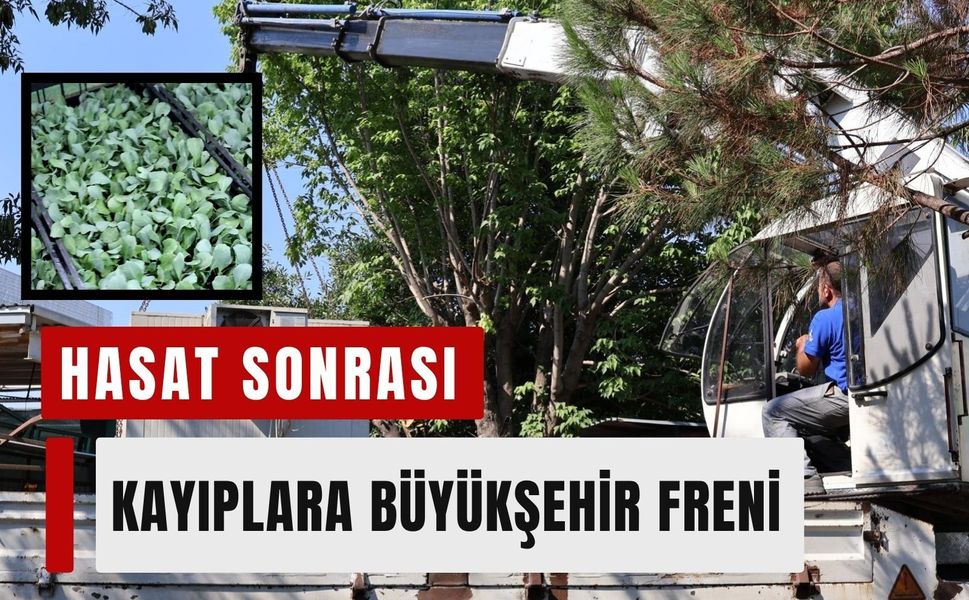 Hasat sonrası kayıplara Büyükşehir freni