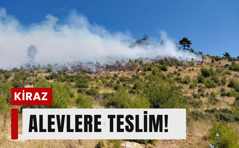 Kiraz’da yangın alarmı!