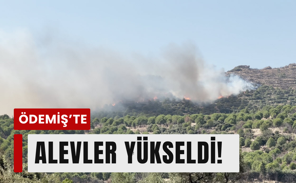 Ödemiş'te orman yangını: Havadan ve karadan müdahale!