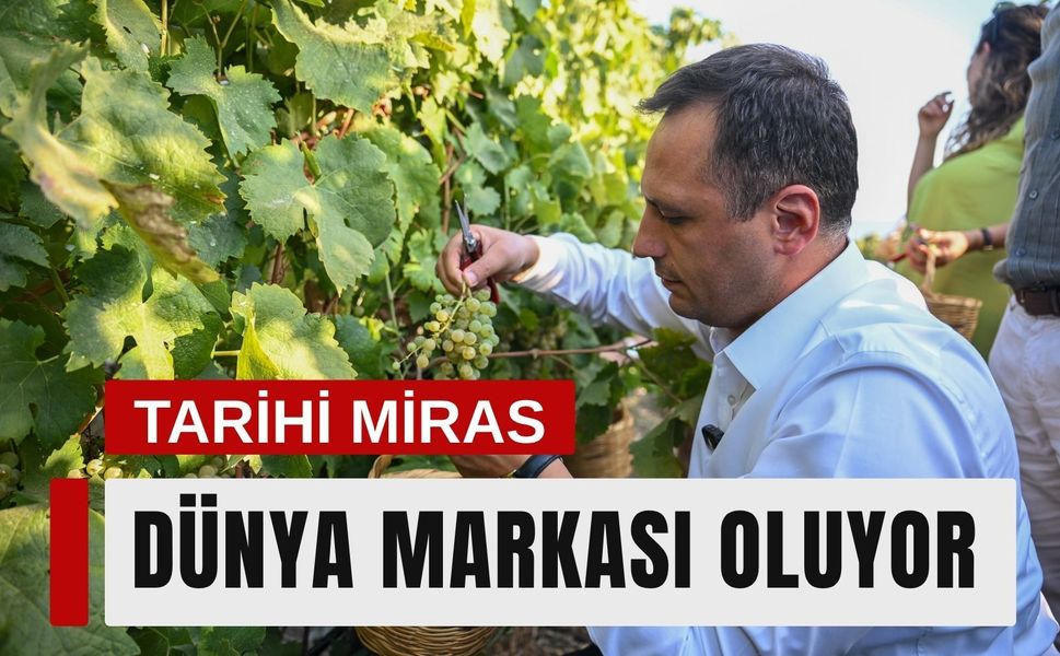 Bornova Misket Üzümü’nde tescilli marka büyüyor