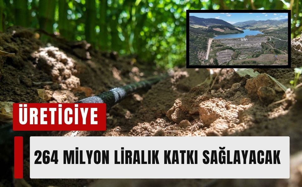 Aktaş Barajı bereket getirdi! Çiftçinin geliri katlanıyor