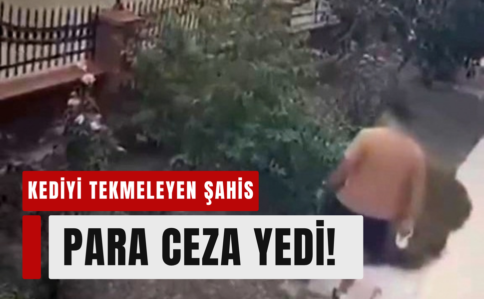Anne kediye tekme atan şahsa ceza!