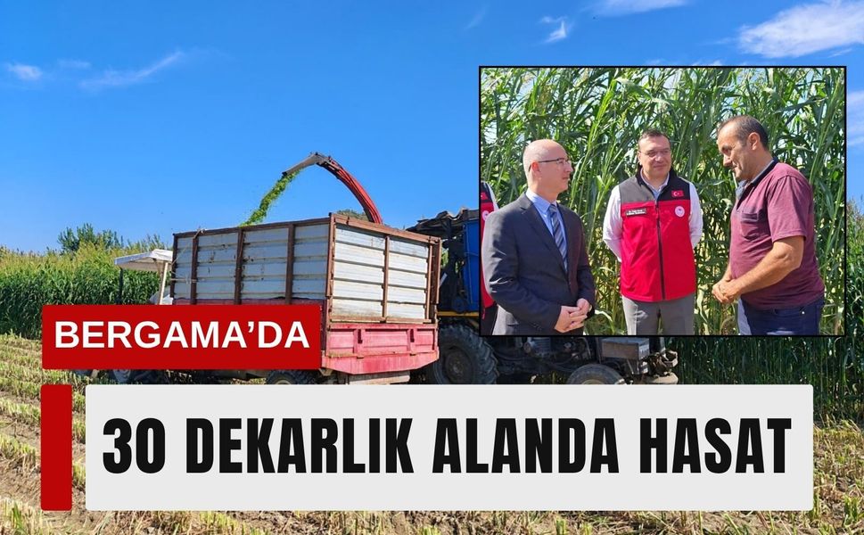 İzmir’de üreticilere yeni alternatif: Hasadı başladı