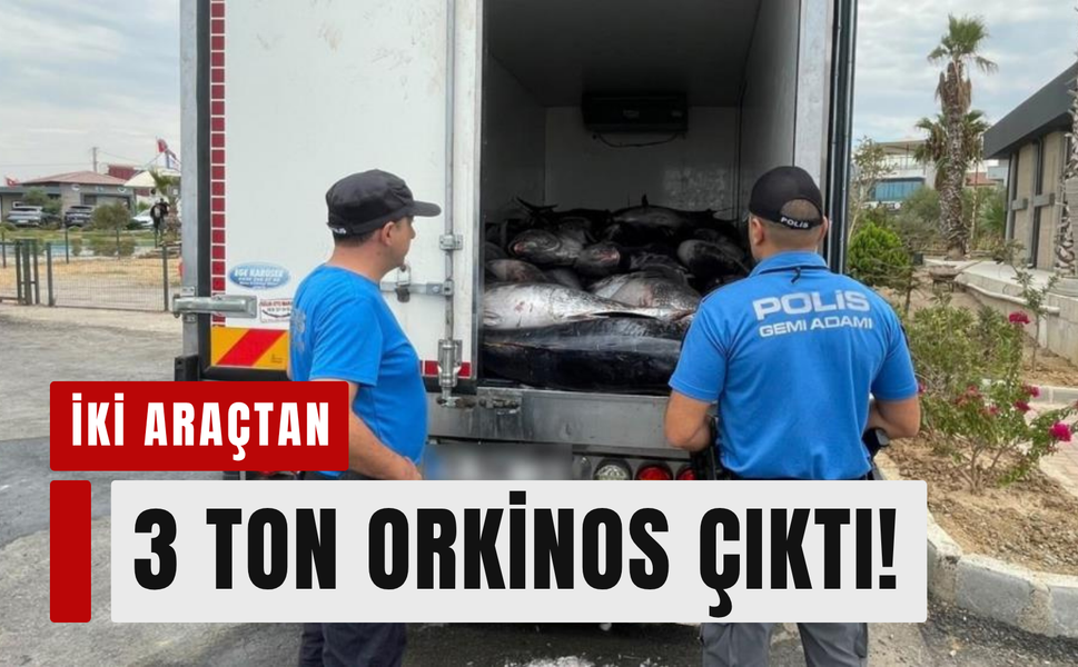 İzmir’de yarım milyonluk kaçak orkinos!